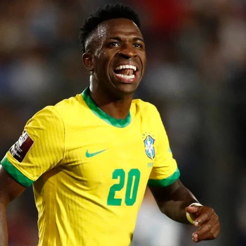 Vinícius Júnior Bersama Brazil