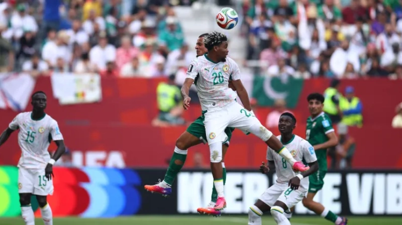 Analisis Senegal Intensitas Tinggi, Risiko Tinggi